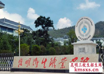 昆明卫生职业学院单招专业