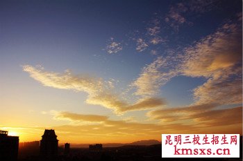 云南交通职业技术学院单招专业有哪些