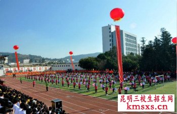 云南经贸外事职业学院单招专业