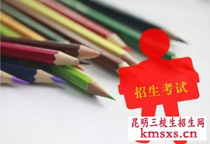 云南省的考试有什么专业