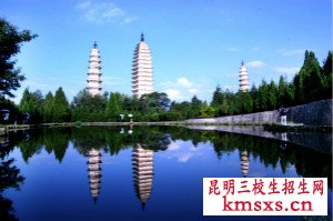 云南省旅游专业分数查询