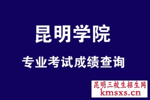 昆明学院专业考试成绩查询