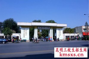 考云南师范大学录取分数线