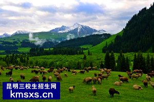 农林考试大纲