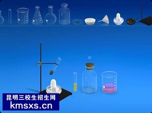 生物化学类高考考点