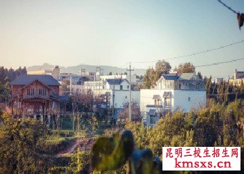 云南农业职业技术学院单招专业