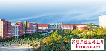 云南经济管理学院单招专业