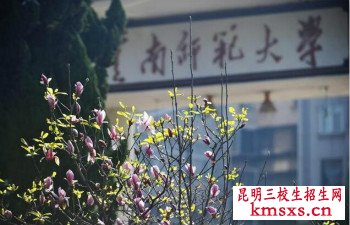 云南师范大学三校生可以报考吗？