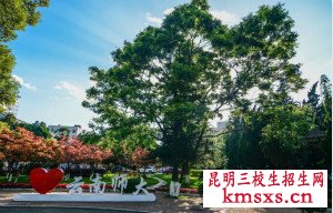 教育类可以报哪些专业