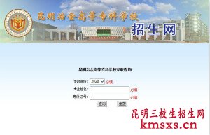 云南冶金高等专科学院录取查询