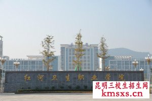 红河卫生职业学院专业